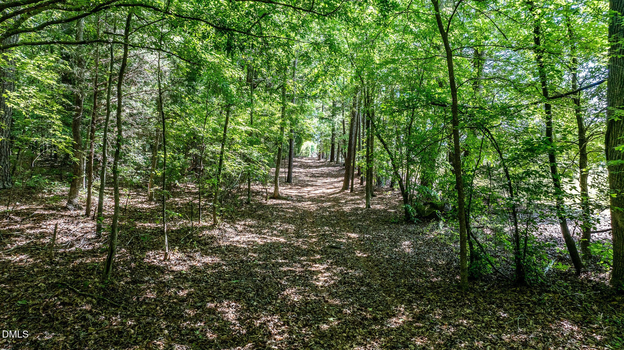 394-Trail5 - 394 King Road, Castalia, NC 27816