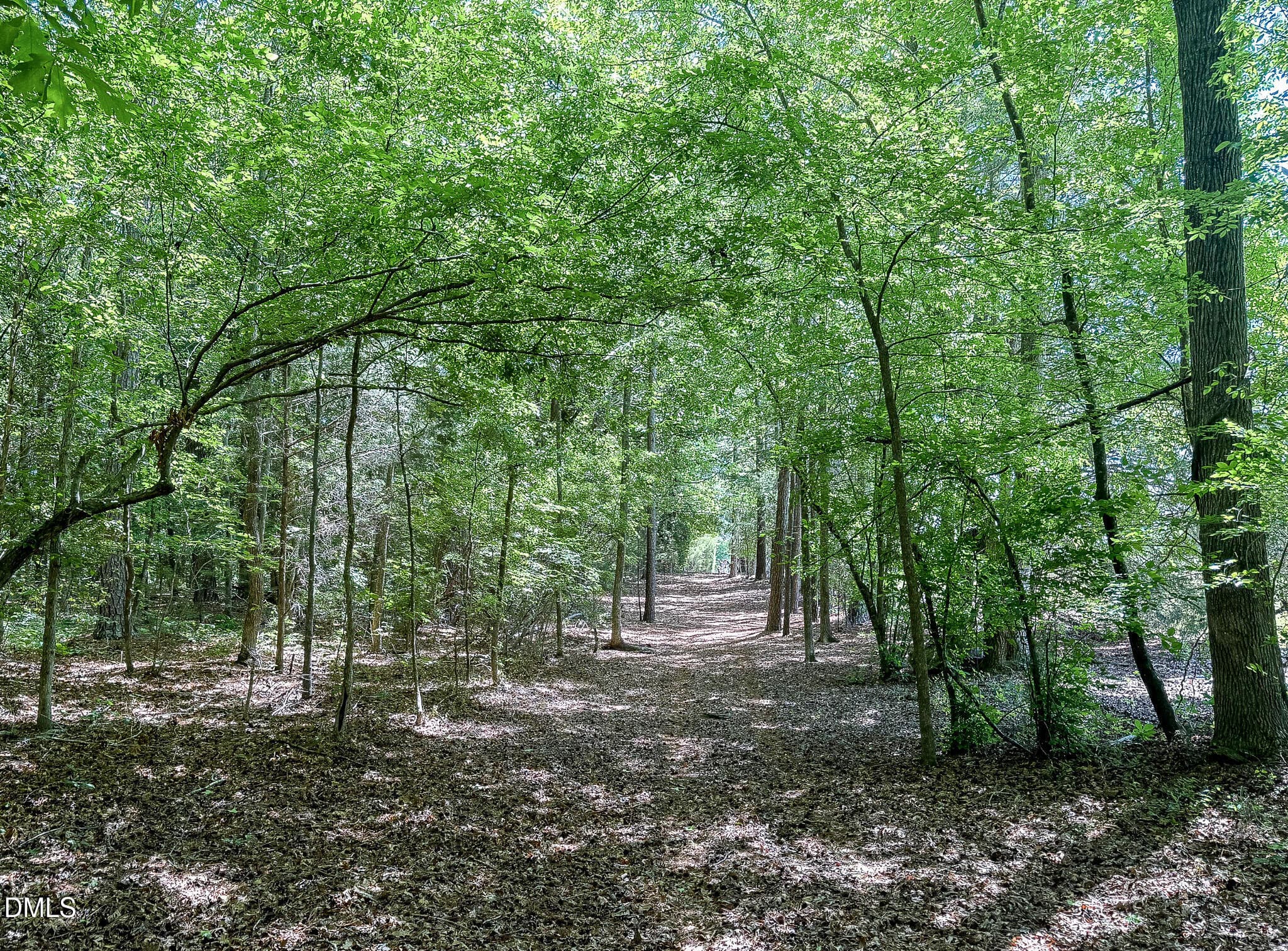 394-Woods3 - 394 King Road, Castalia, NC 27816