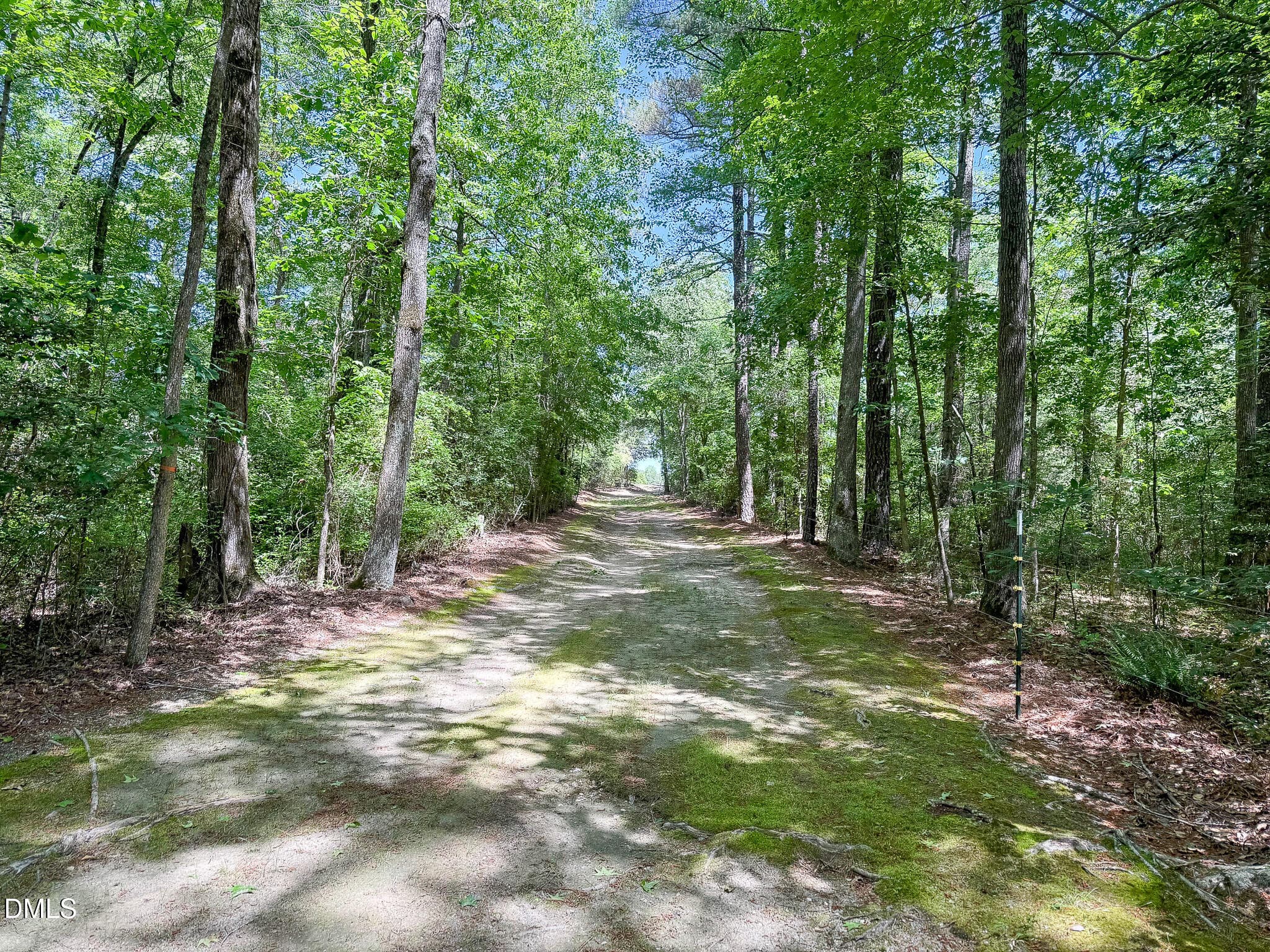 394-Woods4 - 394 King Road, Castalia, NC 27816