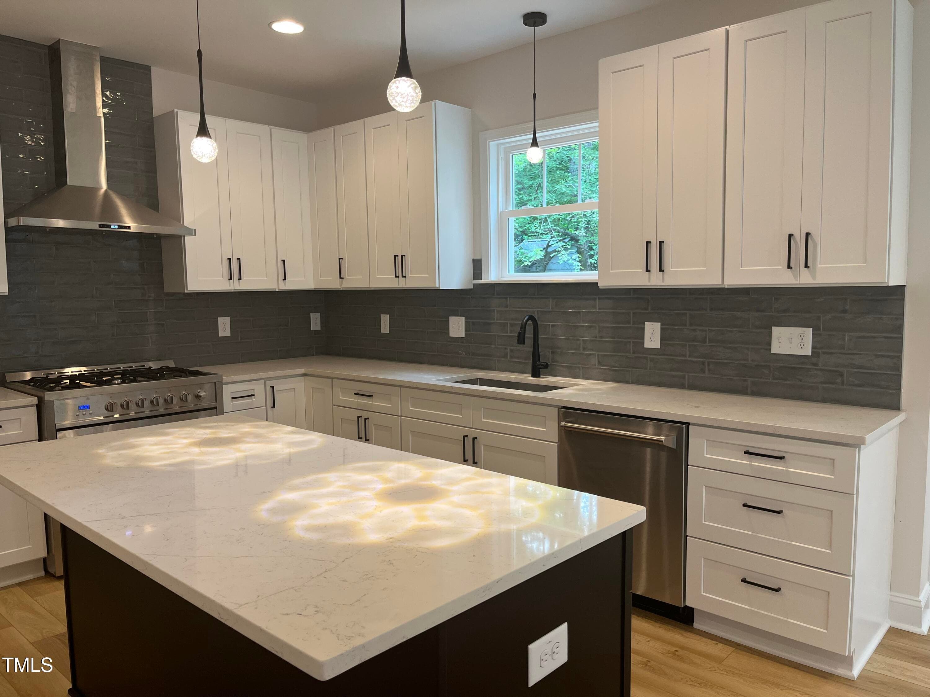 IMG_8343 - 313 W Cornwallis Road, Durham, NC 27707
