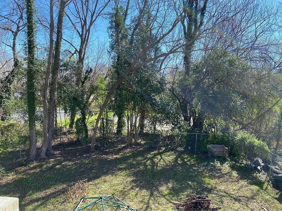 3. Berkeley backyard.jpg.jpeg - 1214 Berkeley Street, Durham, NC 27705, Durham