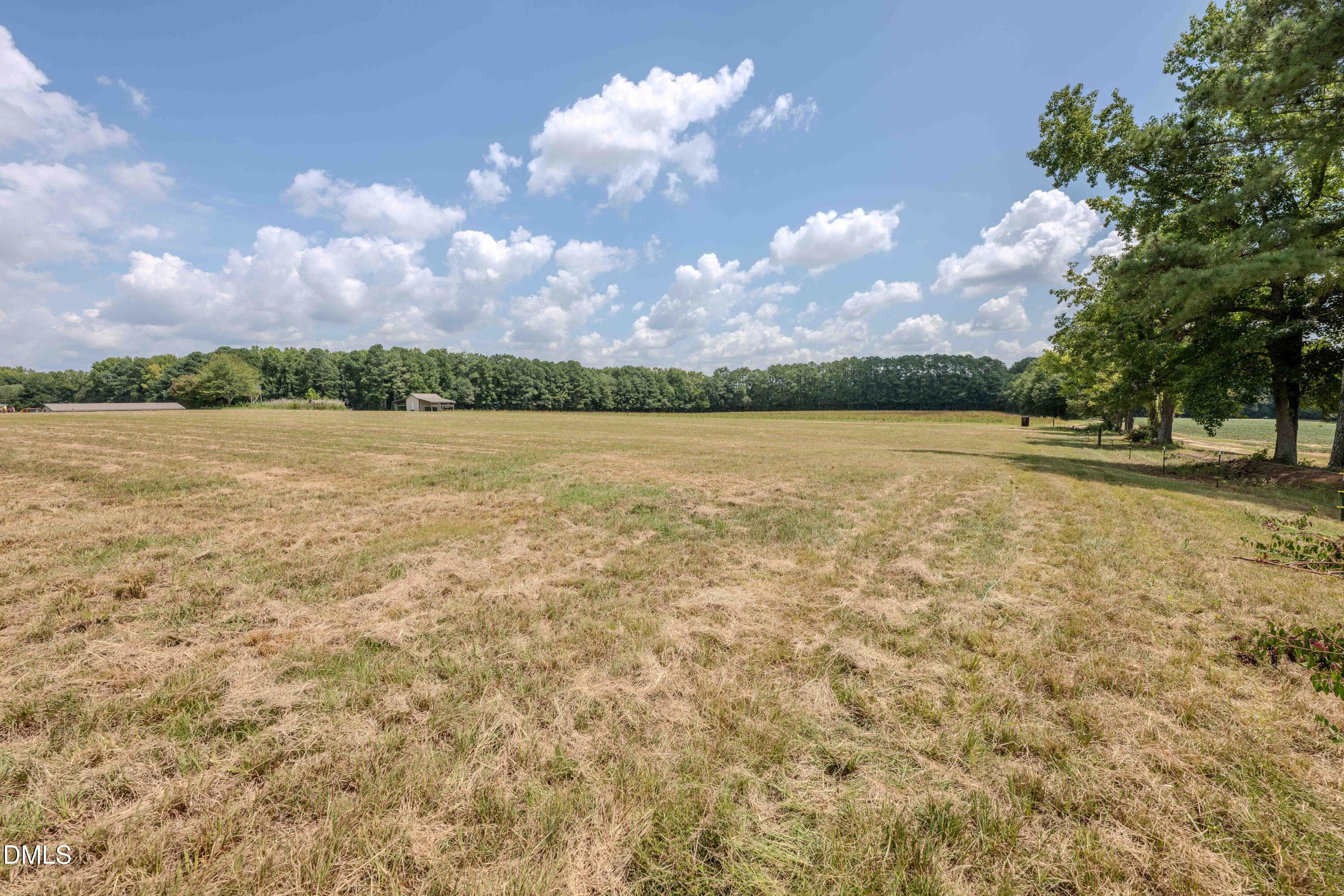 020 - 0 Old Stage Road N, Willow Springs, NC 27592, Willow Springs