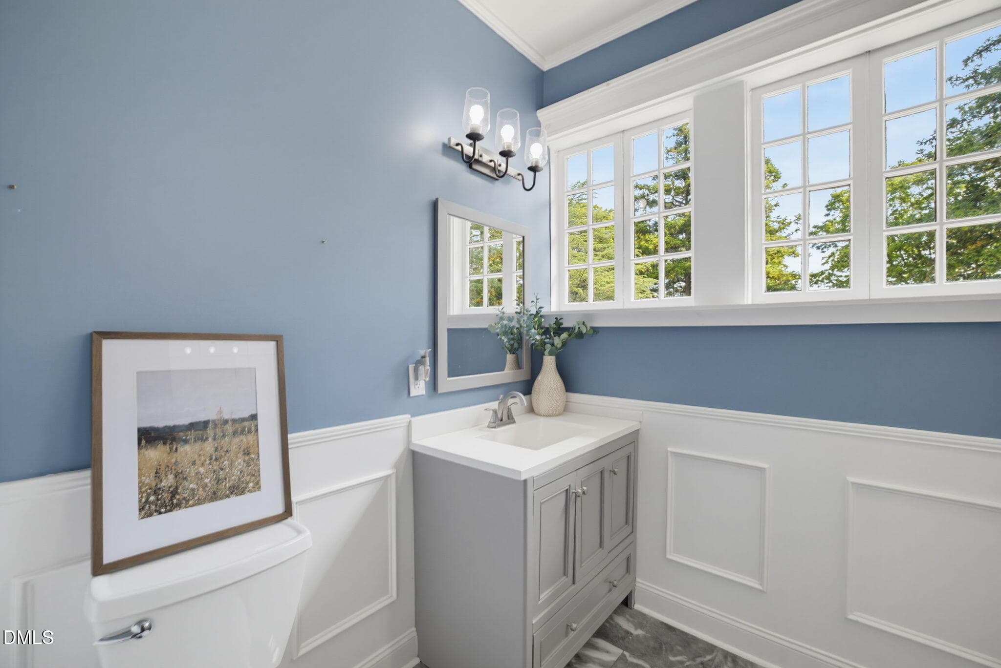 90-web-or-mls-11948 NC-87_V2-30 - 11948 Nc-87, Eden, NC 27288