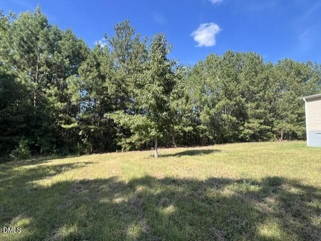 73fd0aec-f9f4-44ab-bde2-1caca146af0b - 137 Hill Drive, Macon, NC 27551, Macon