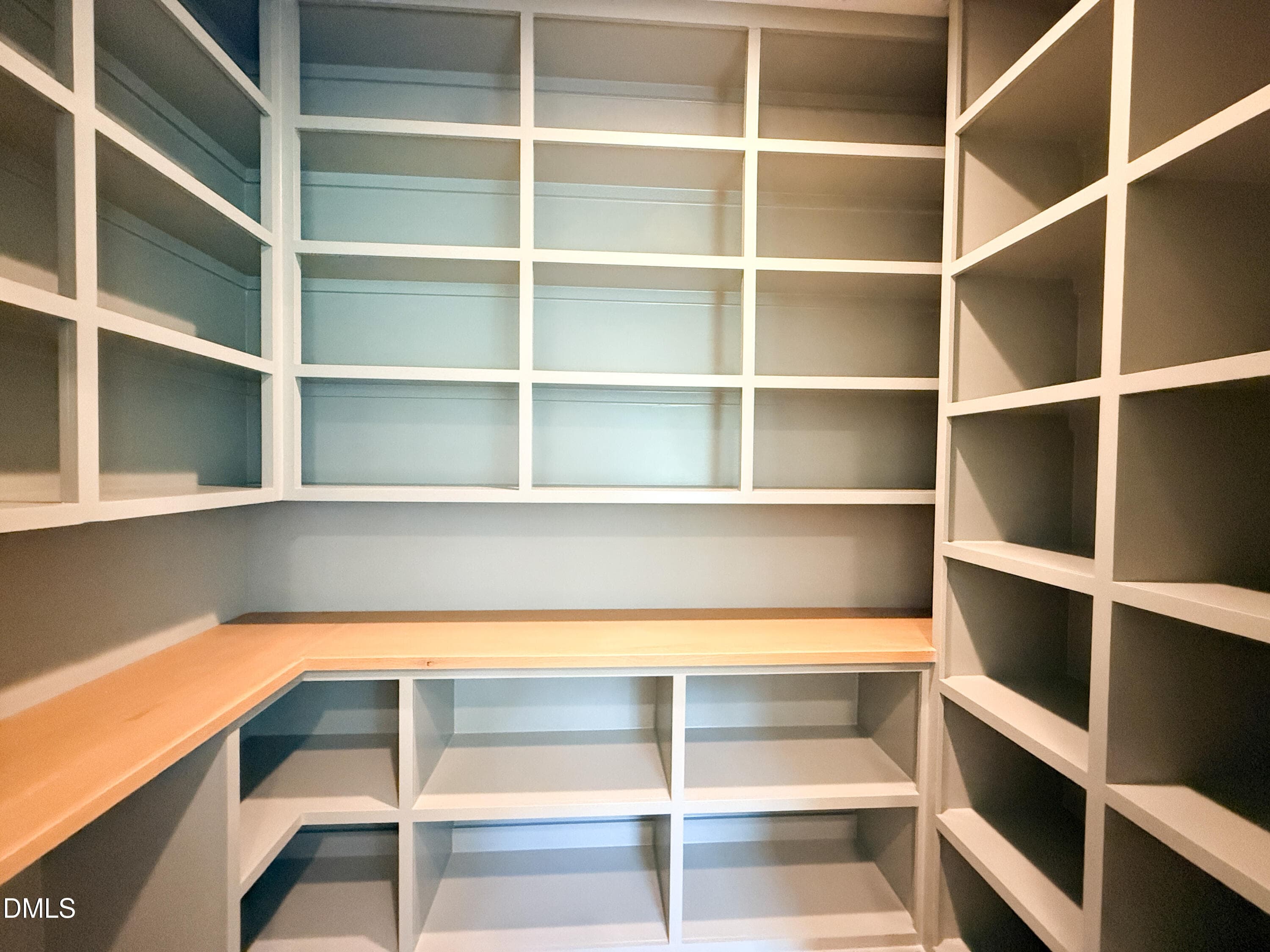 17 - Pantry with Built In Shelving-2 - 5904 Leone Pride Circle, Raleigh, NC 27603, Raleigh