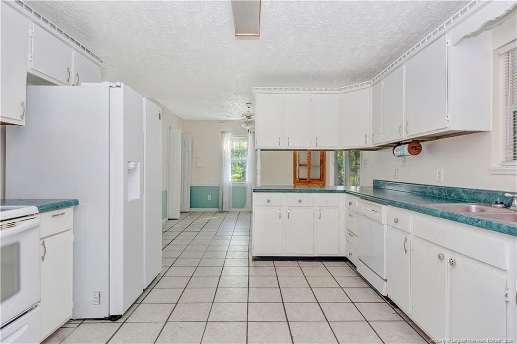 Photo 10 - 223 Broadwell Road, Saint Pauls, NC 28384
