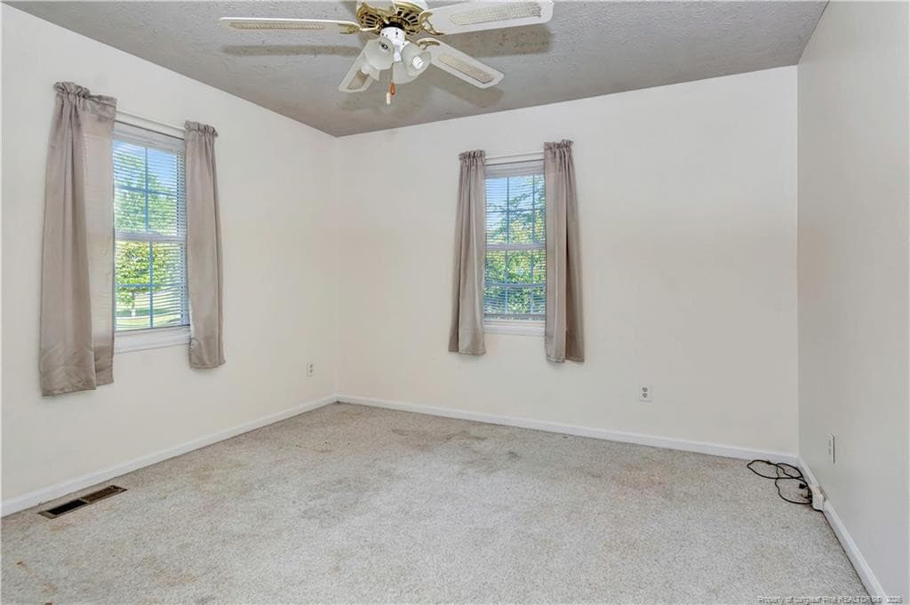 Photo 20 - 223 Broadwell Road, Saint Pauls, NC 28384