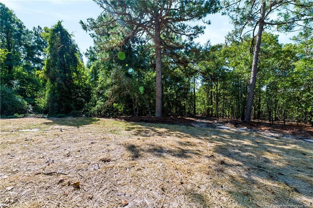 Backyard View - 948 Pine Oak, Cameron, NC 28326, Cameron