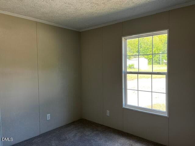 66f6de3f-9b78-418d-823f-aac7a69ef21d - 137 Hill Drive, Macon, NC 27551, Macon