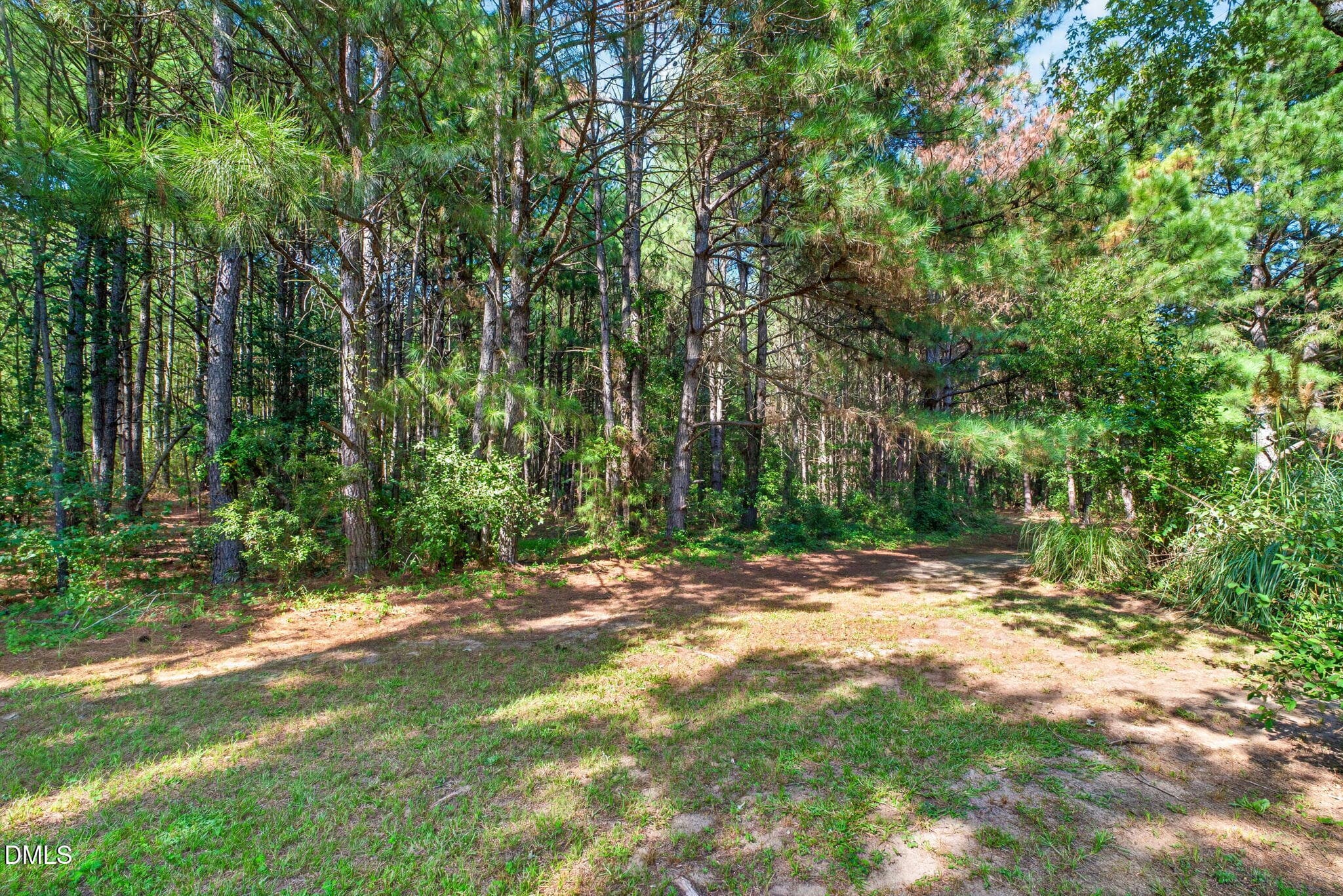 56-web-or-mls-DSC07622 - 1200 Honeycutt Road, Willow Springs, NC 27592, Willow Springs