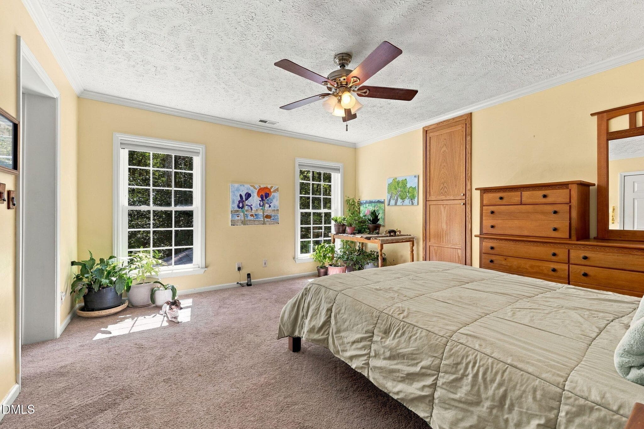 31-web-or-mls-_2334685 - 3717 Angus Lane, Efland, NC 27243