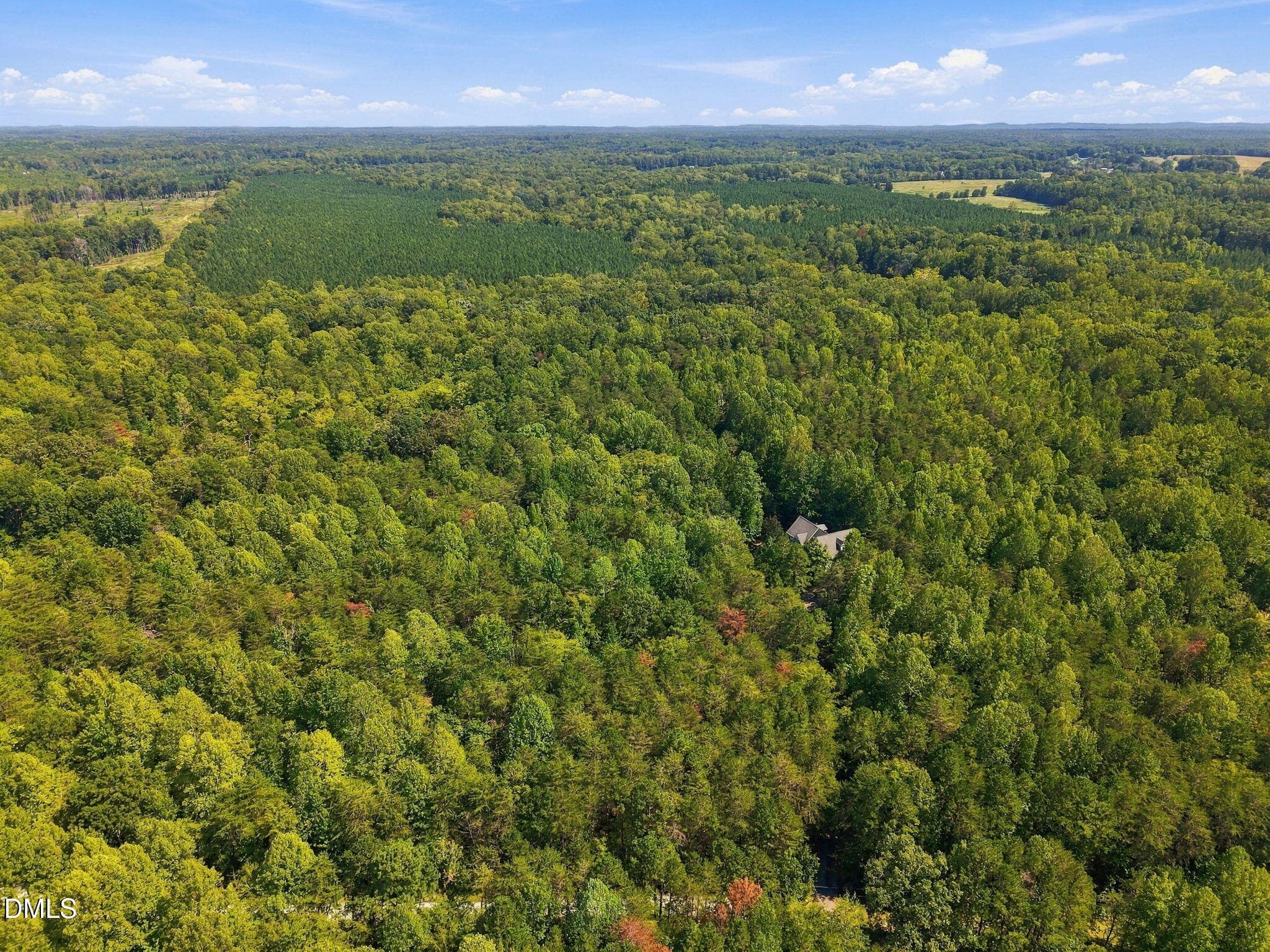 64-web-or-mls-DJI_20260911142127_0040_D - 3717 Angus Lane, Efland, NC 27243