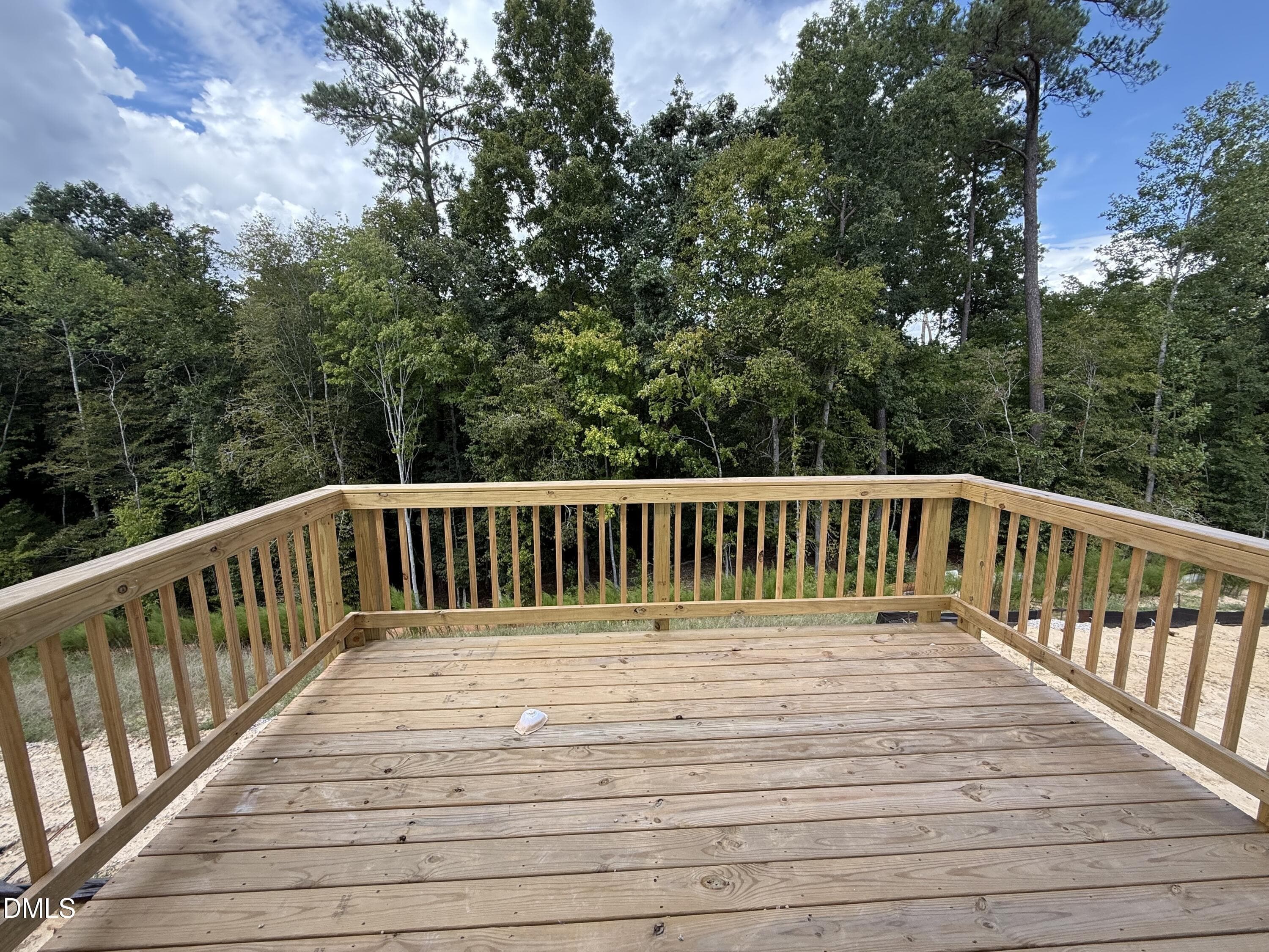 Construction - 129 Cinnabar Street, Clayton, NC 27520, Clayton