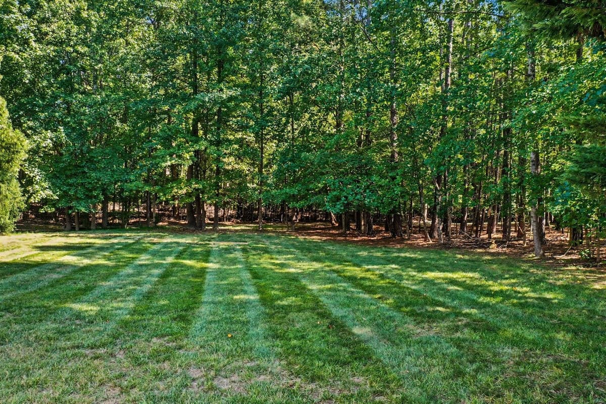 037_file_1319.jpg - 26 Ballard Court, Durham, NC 27712