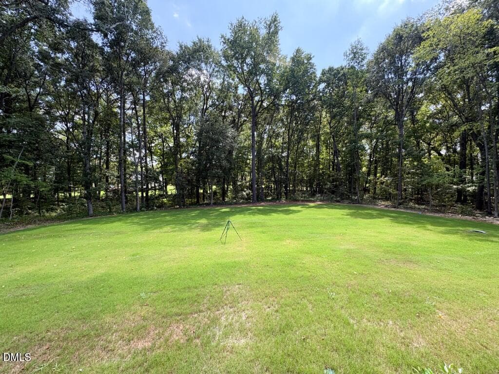 Photo Sep 14 2026, 1 19 44 PM-2 (Medium) - 317 Black Caviar Way, Raleigh, NC 27603, Raleigh