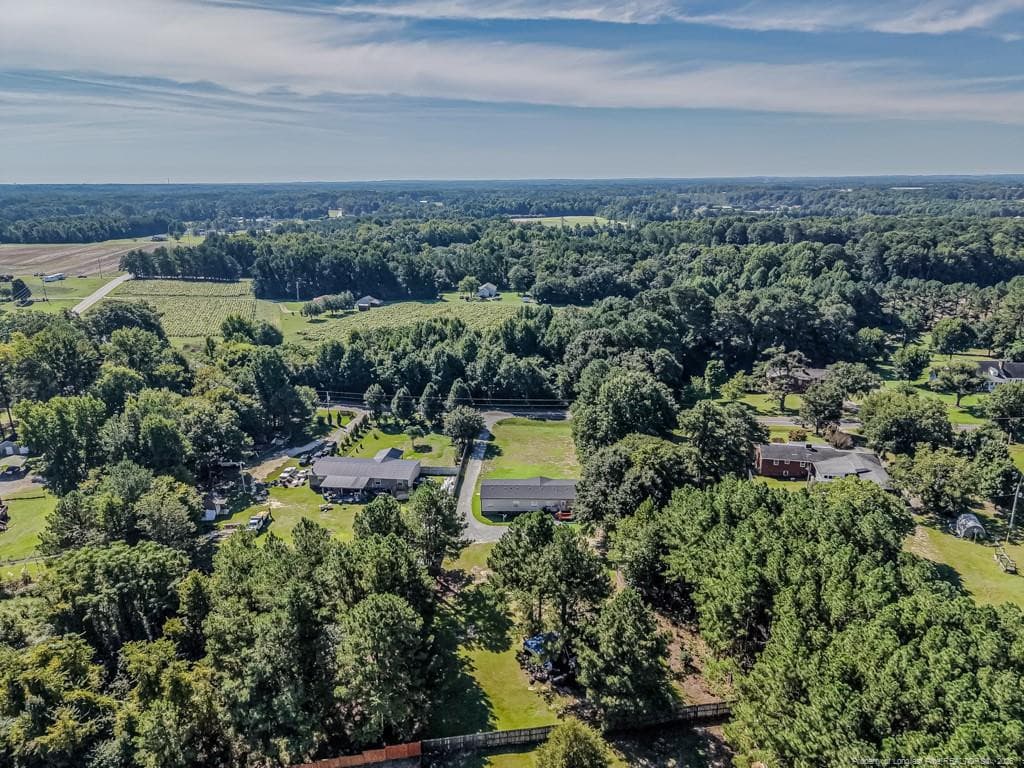 Rear aerial view - 1919 Pumping Station Road, Sanford, NC 27330