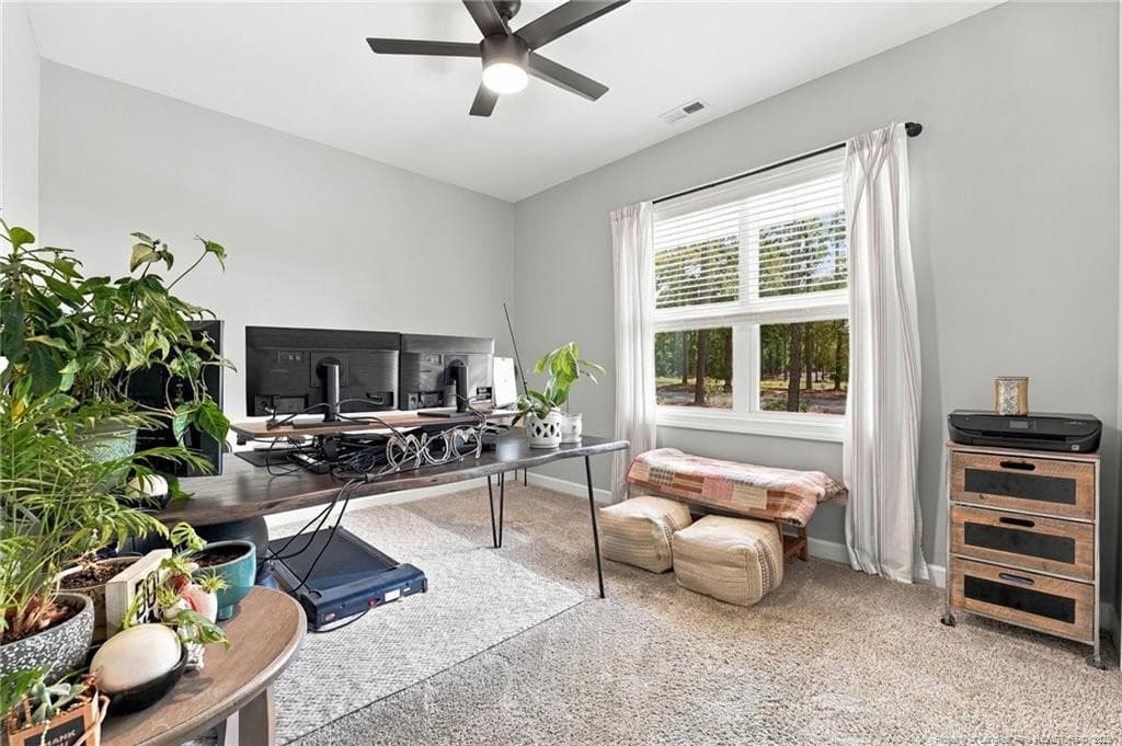 Photo 10 - 29801 Peach Orchard Road, Wagram, NC 28396