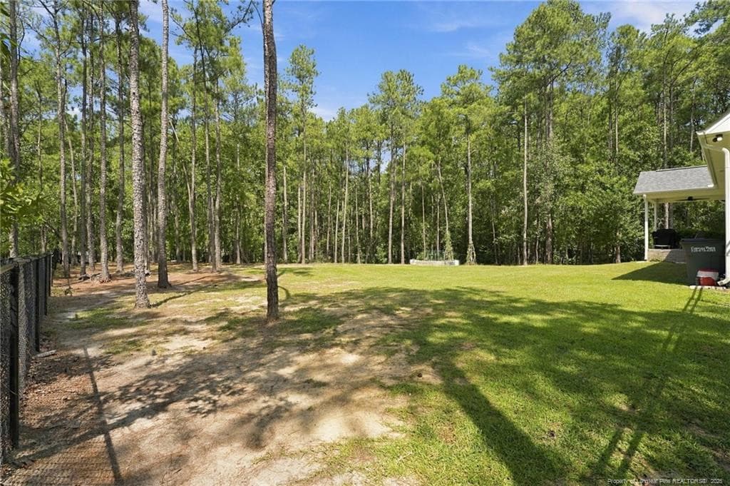 Photo 41 - 29801 Peach Orchard Road, Wagram, NC 28396