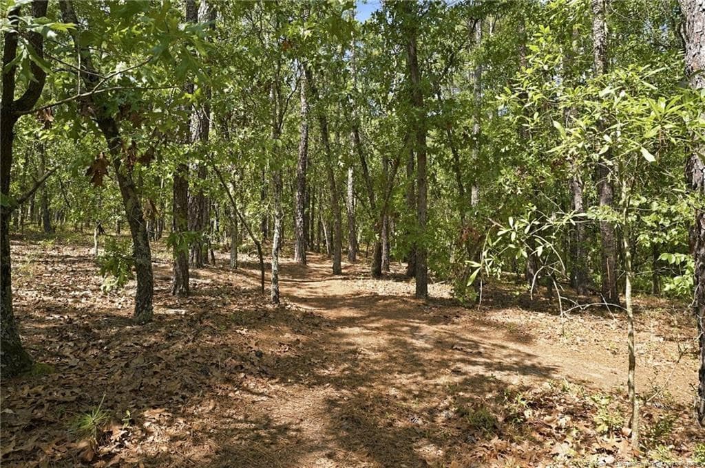 Photo 43 - 29801 Peach Orchard Road, Wagram, NC 28396