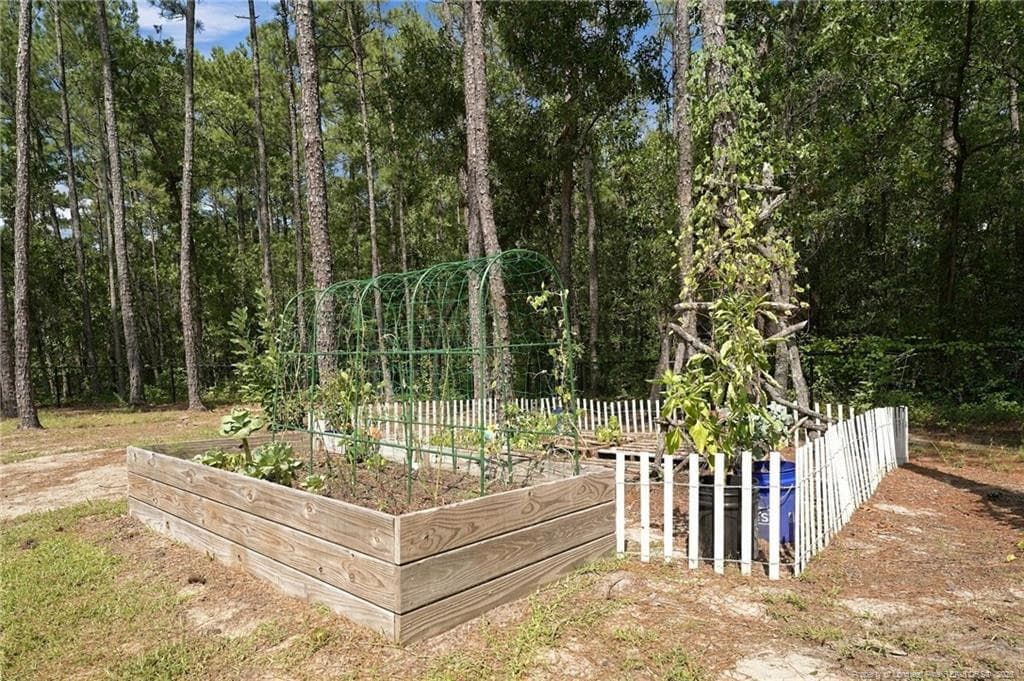 Photo 44 - 29801 Peach Orchard Road, Wagram, NC 28396