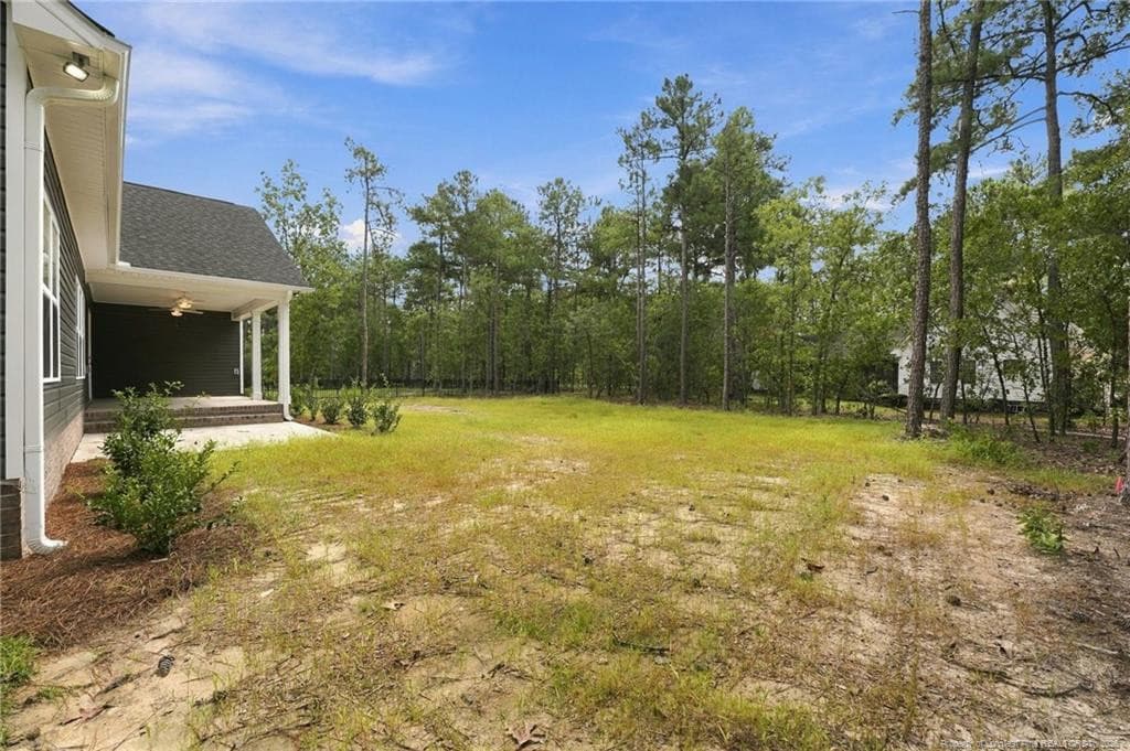back yard with seed & straw. - 26820 Peach Orchard Road, Wagram, NC 28396