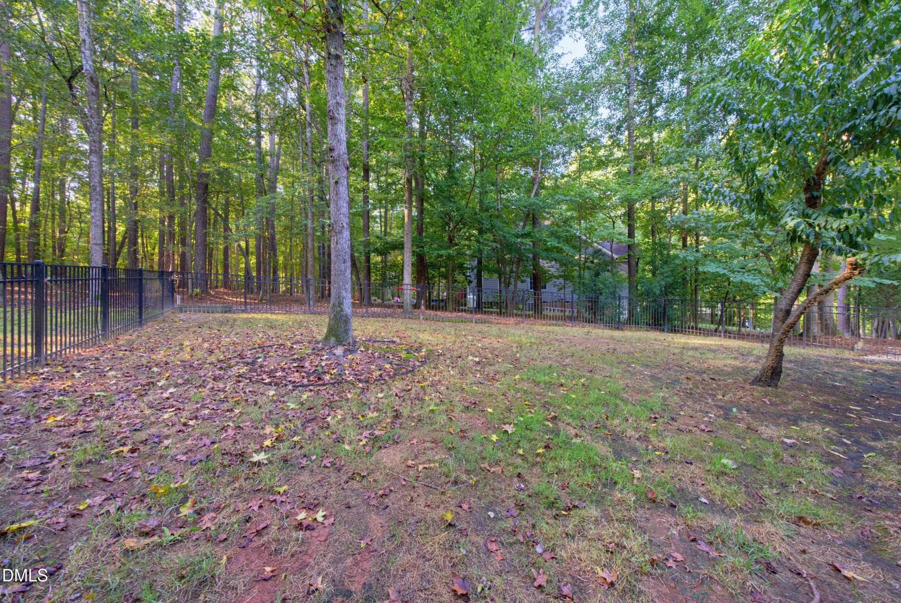 DSC06127 - 566 Timberknoll Lane, Wake Forest, NC 27587