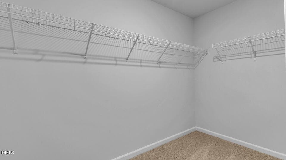 CLOSET - 840 Norma Drive, Wendell, NC 27591, Wendell