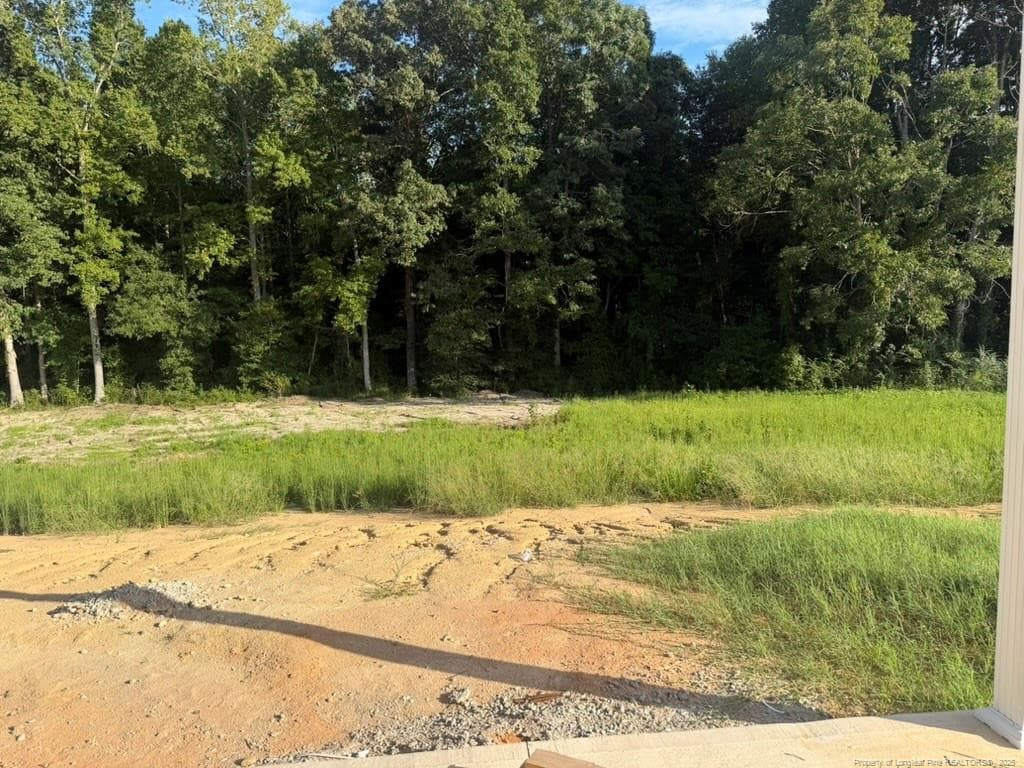 Photo 14 - 292 Black Duck (Lot 87) Lane, Lillington, NC 27546