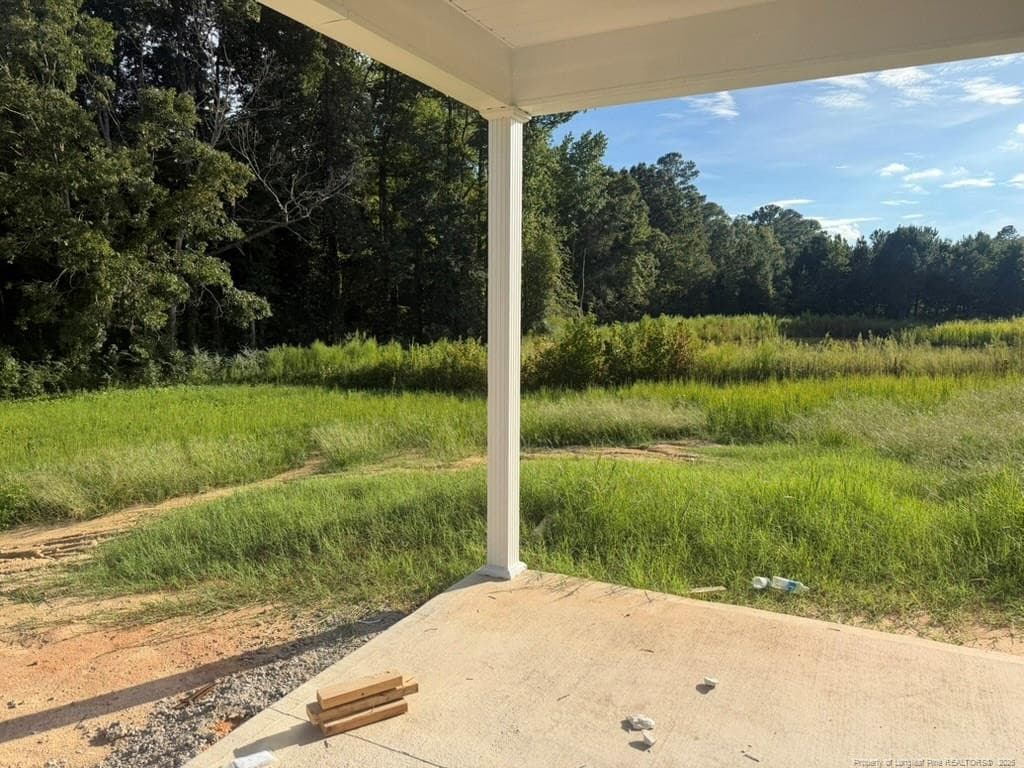 Photo 15 - 292 Black Duck (Lot 87) Lane, Lillington, NC 27546