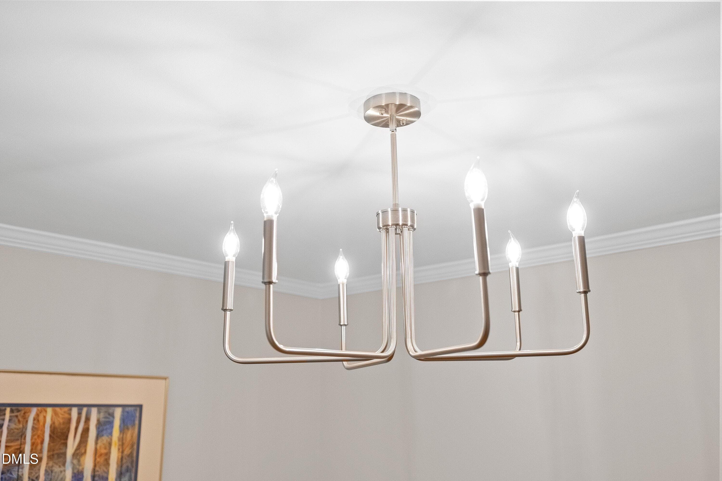 Updated Lighting - 129 Hedgerow Court, Cary, NC 27513