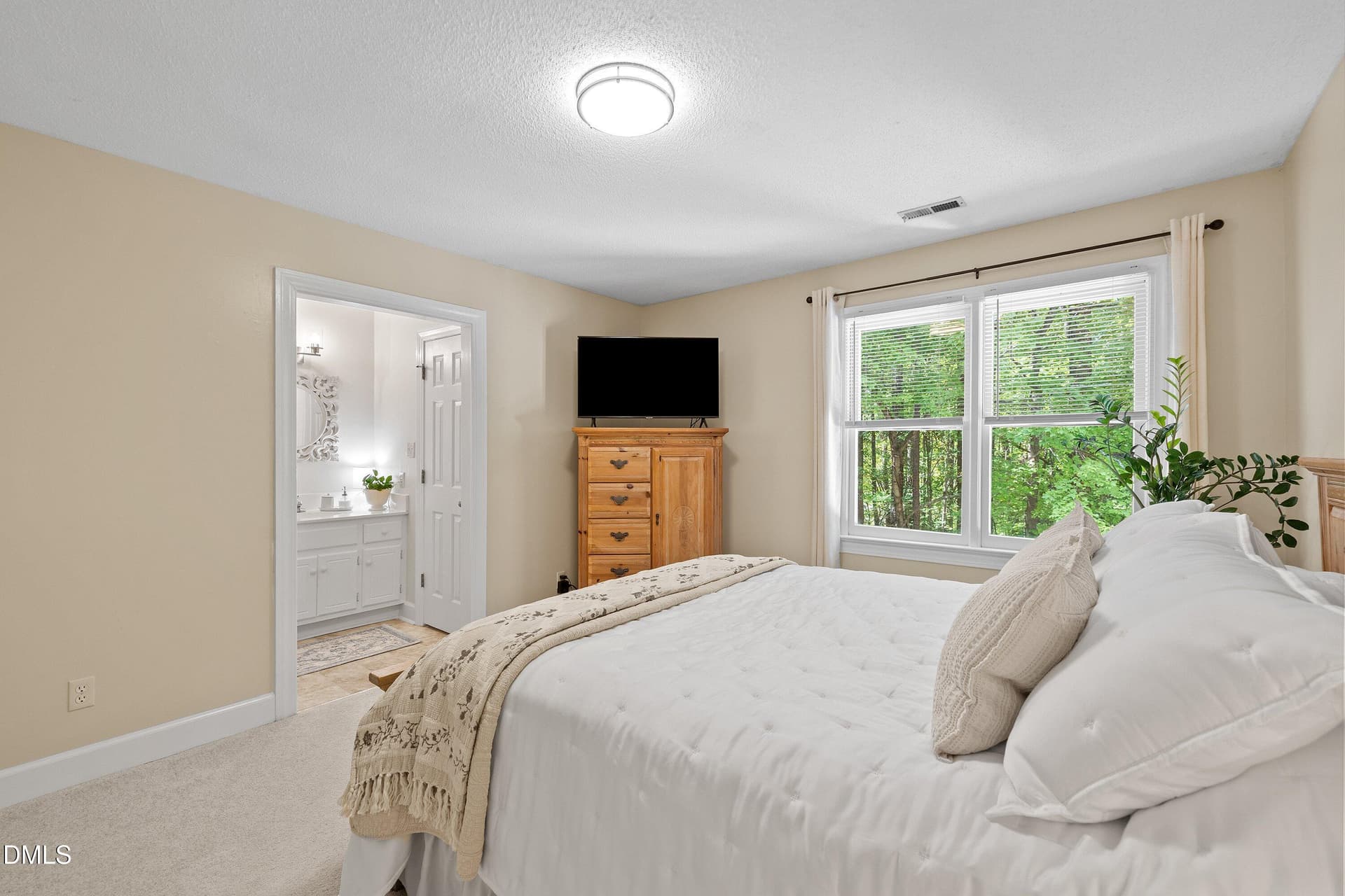 New carpet and paintaint - 129 Hedgerow Court, Cary, NC 27513