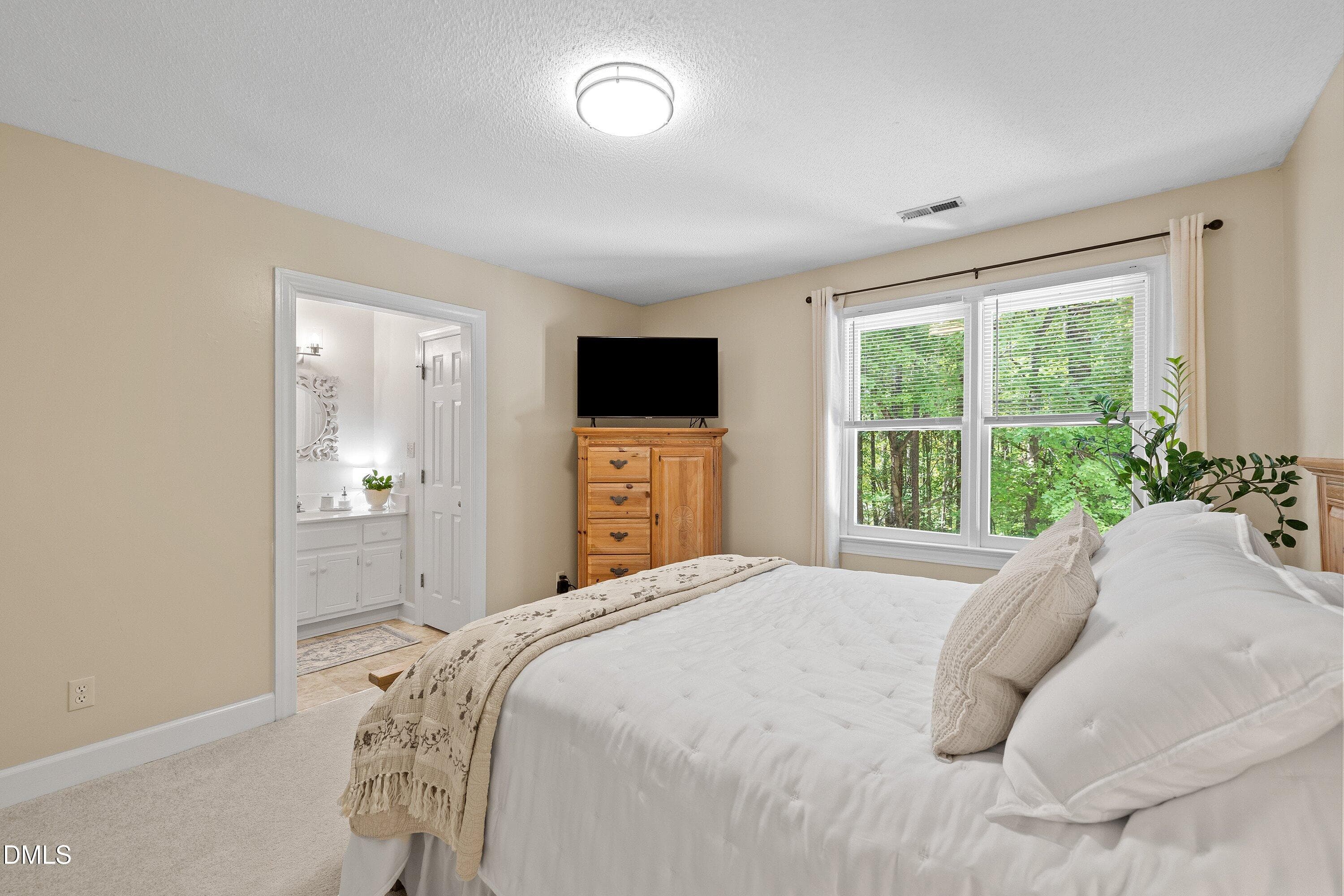 New carpet and paintaint - 129 Hedgerow Court, Cary, NC 27513