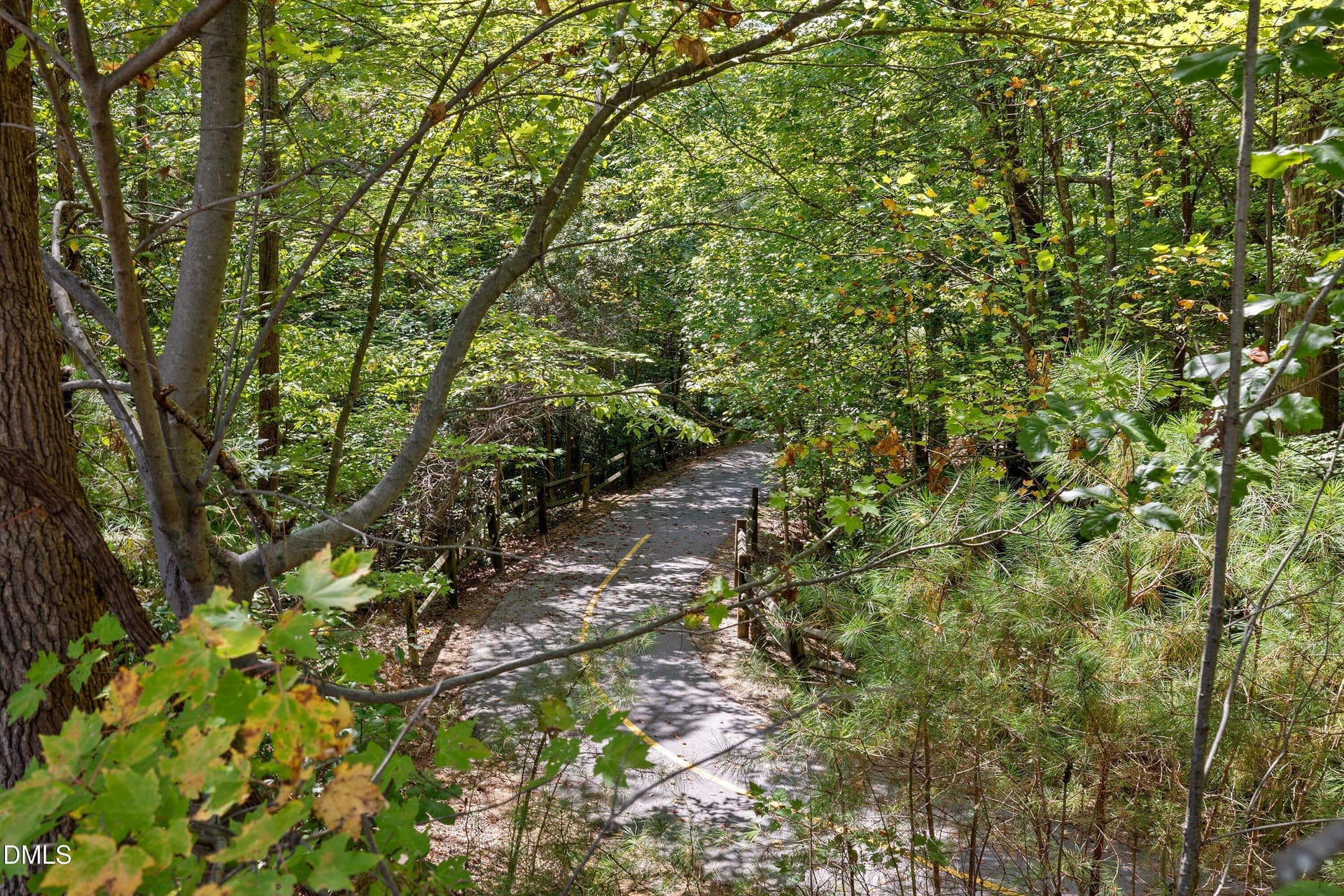 Enjoy the nature that surrounds you! - 129 Hedgerow Court, Cary, NC 27513