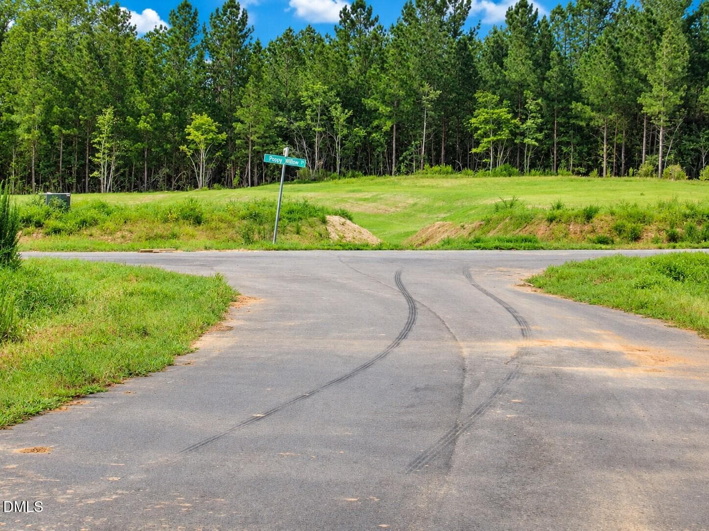 Roads - 4450 Poppy Mallow Lane, Oxford, NC 27565