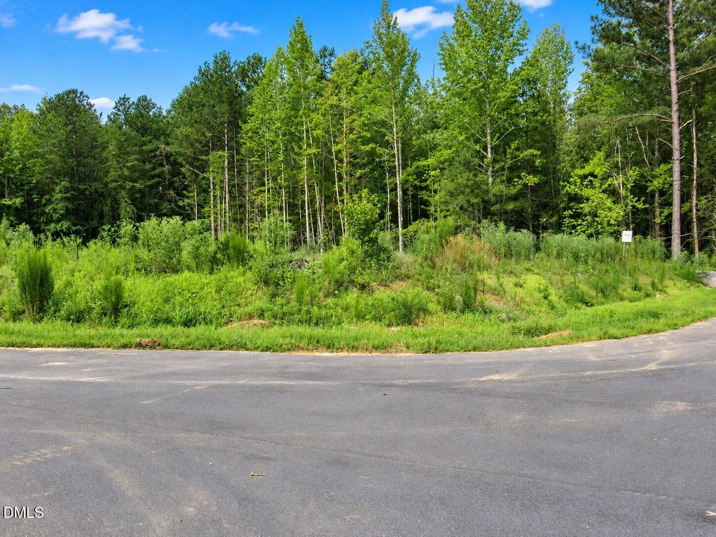 Roads - 4450 Poppy Mallow Lane, Oxford, NC 27565