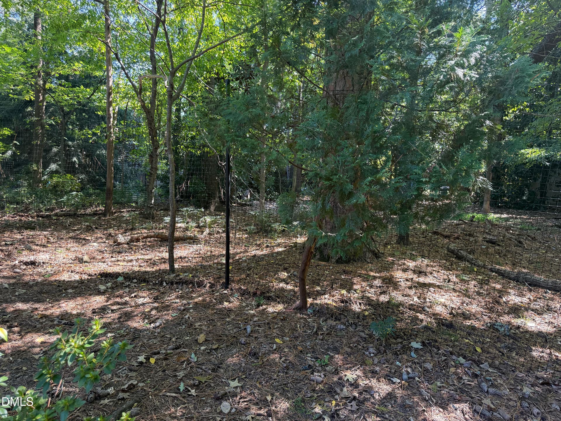 IMG_8570 - 102 Robert Hunt Drive, Carrboro, NC 27510