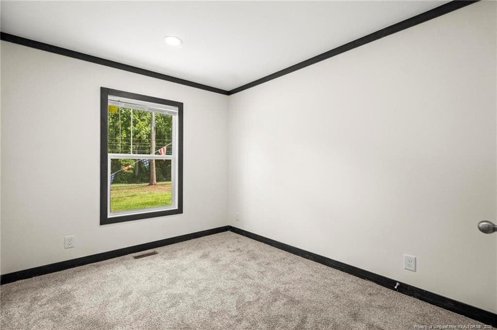 Bedroom 2 - 18201 Barnes Bridge Road, Laurinburg, NC 28302, Laurinburg