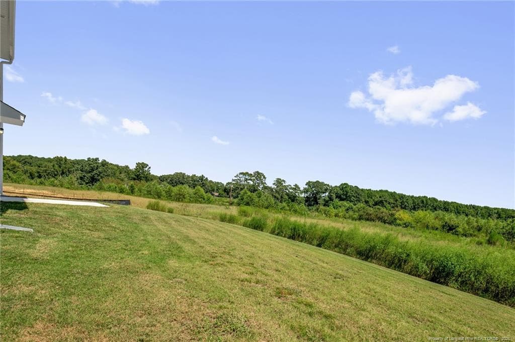 Photo 36 - 45 E Emily Gardens Drive, Selma, NC 27576