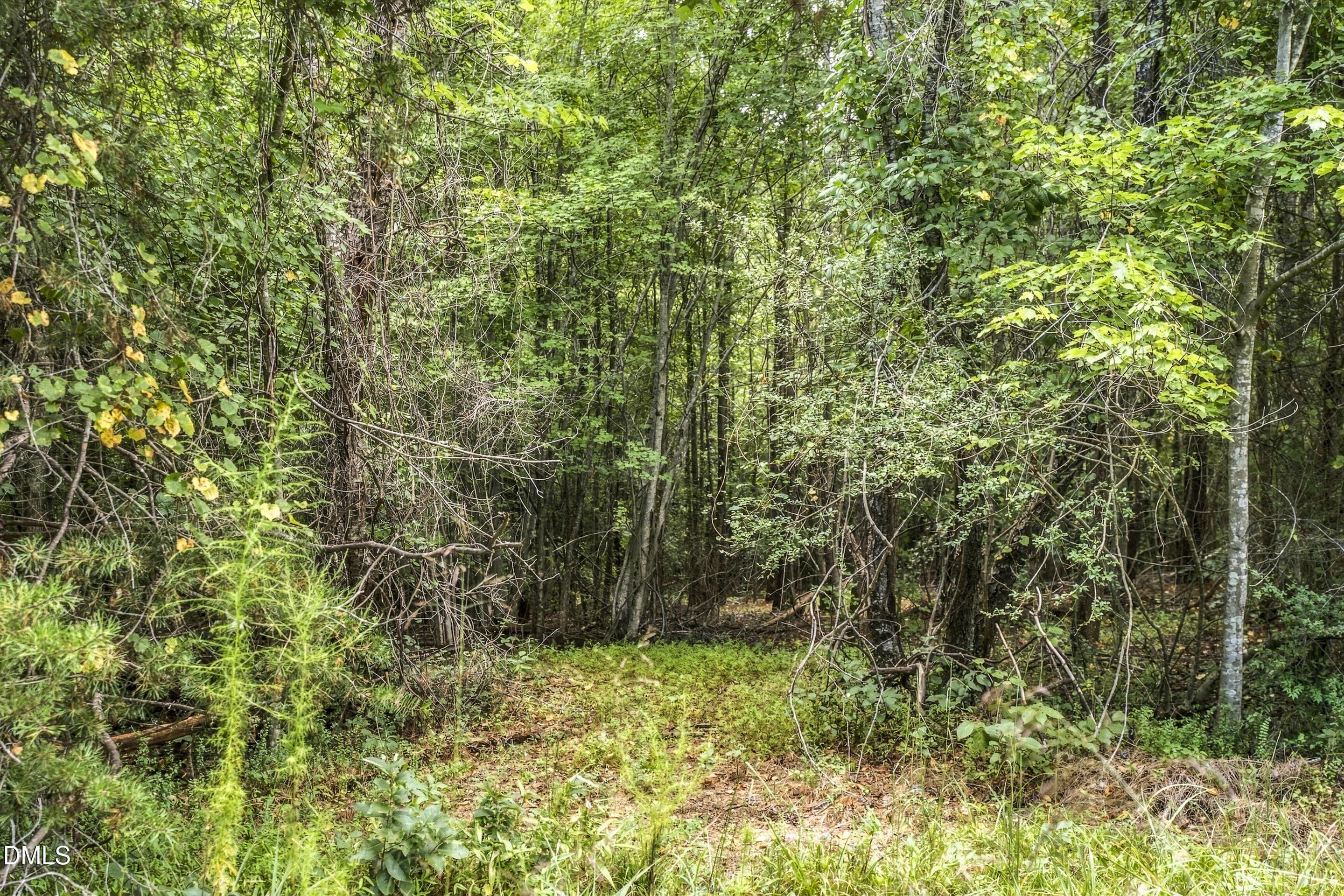 photos-11 - Lot 5 Green Mountain Road, Hillsborough, NC 27278, Hillsborough