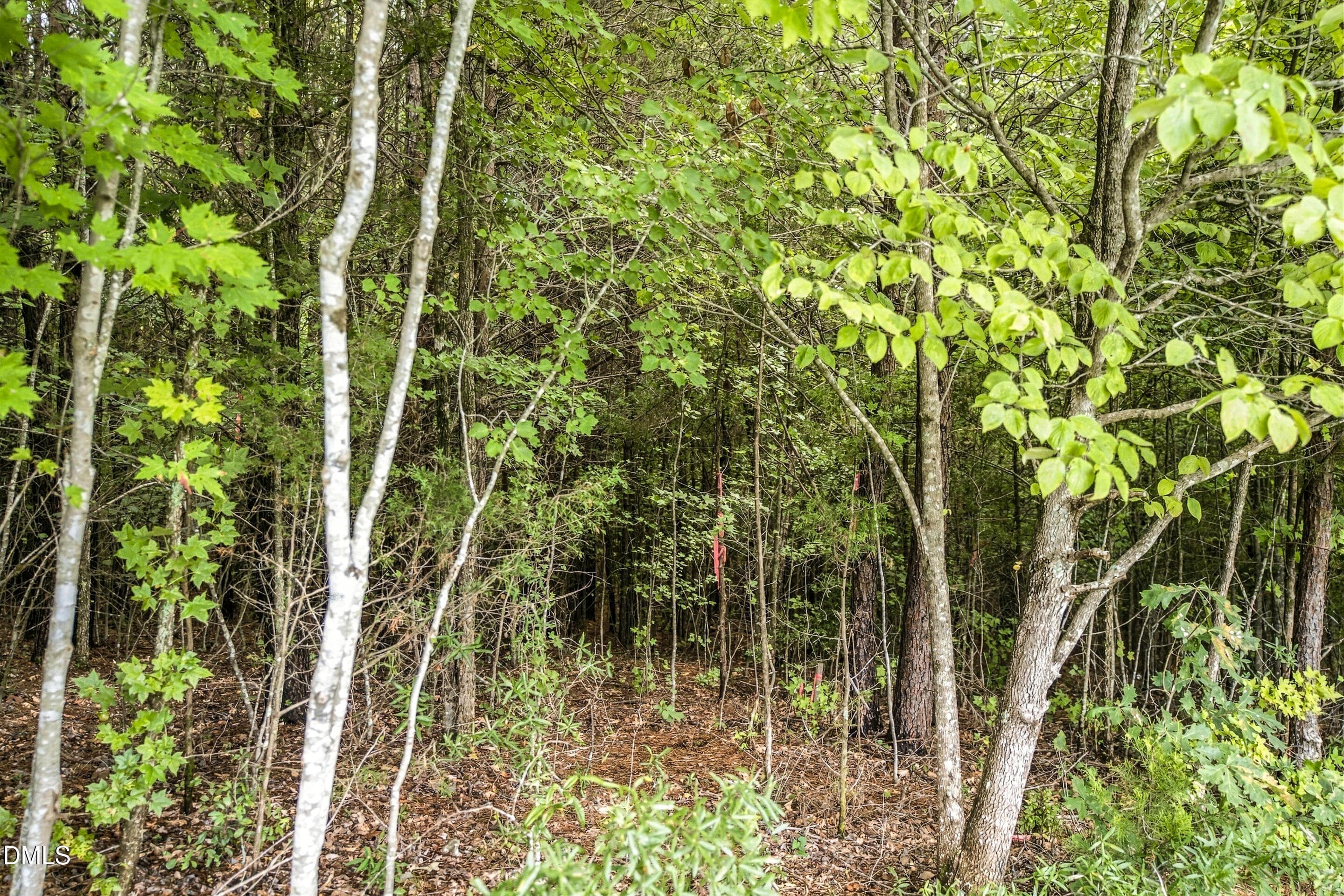 photos-12 - Lot 5 Green Mountain Road, Hillsborough, NC 27278, Hillsborough