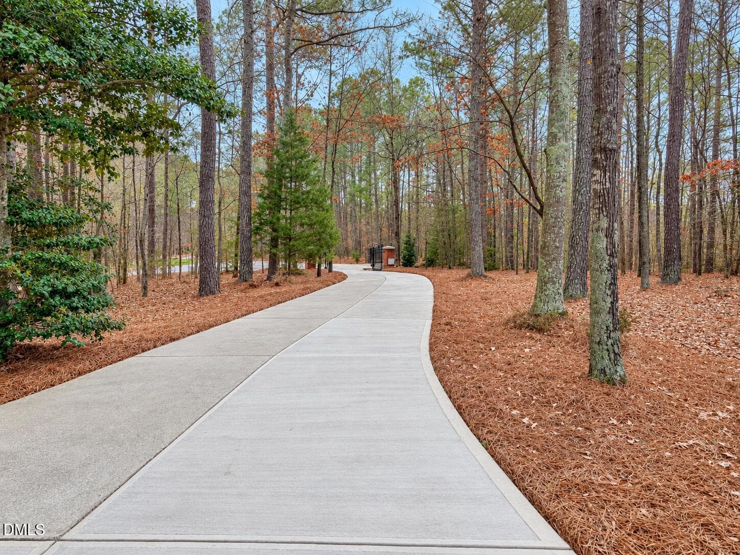 Long driveway - 2769 Weaver Hill Drive, Apex, NC 27502