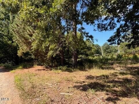 pic 5 - 40 Hibiscus Lane, Littleton, NC 27850