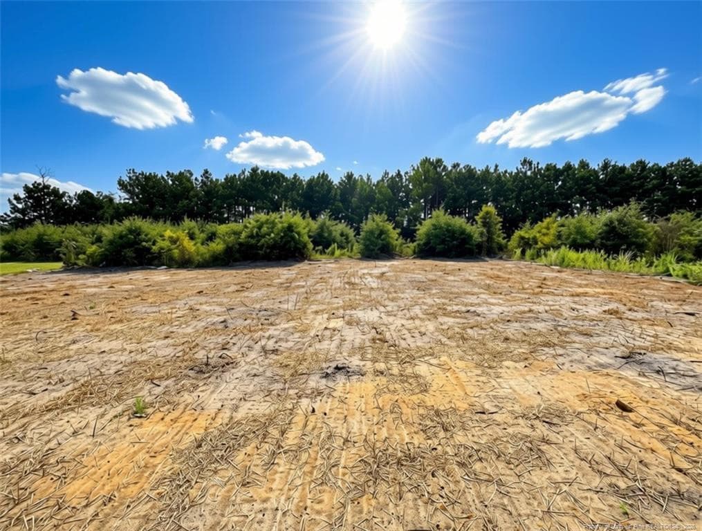 Photo 12 - 201 Ashley Heights (Lot 40) Drive, Aberdeen, NC 28315
