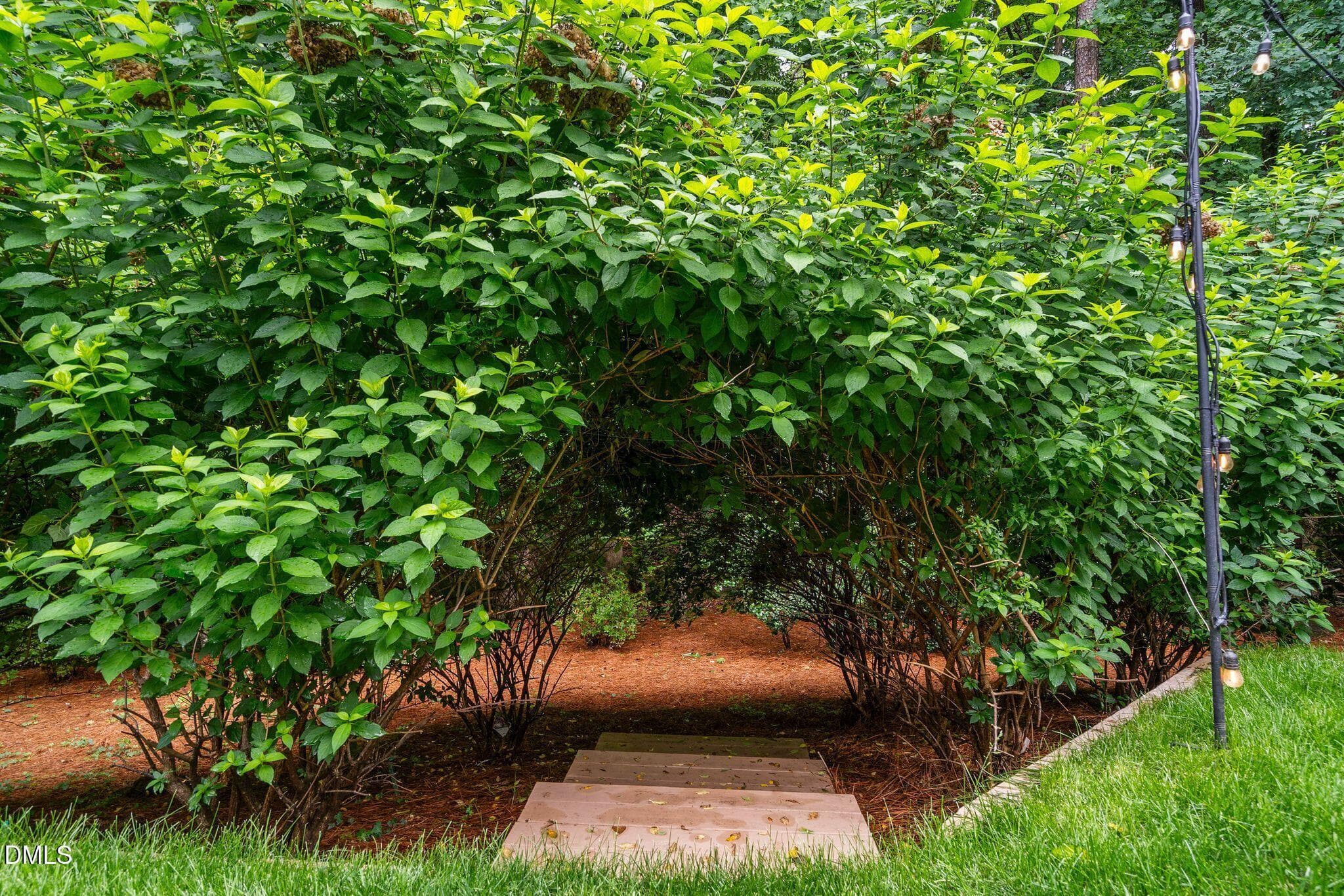 35_NJO06104 - 106 Aberson Court, Cary, NC 27519