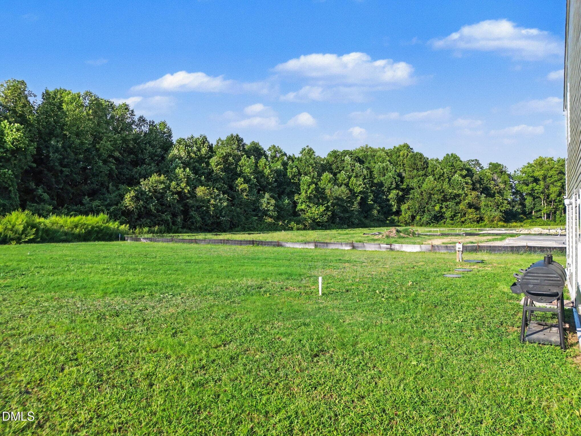 031_file_7115 - 9391 Shallow Creek Trail, Bailey, NC 27807, Bailey