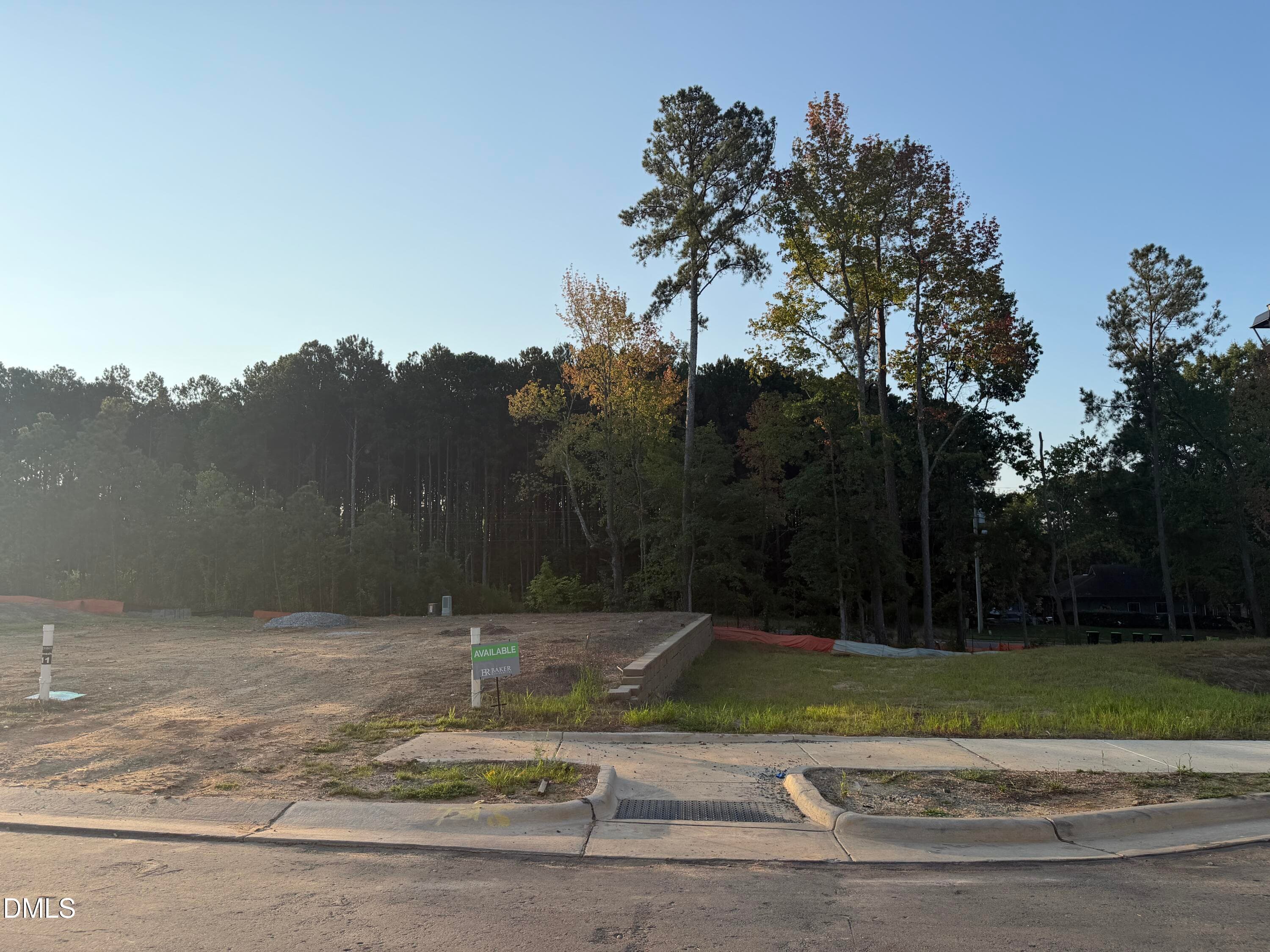 Lot 12 Homesite at Sunrise - 967 Steel Mill Lane, Apex, NC 27523