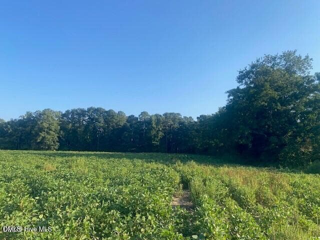 Stott pic6 - 0 Stott Road, Bailey, NC 27807