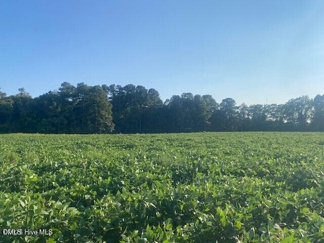 Stott pic7 - 0 Stott Road, Bailey, NC 27807
