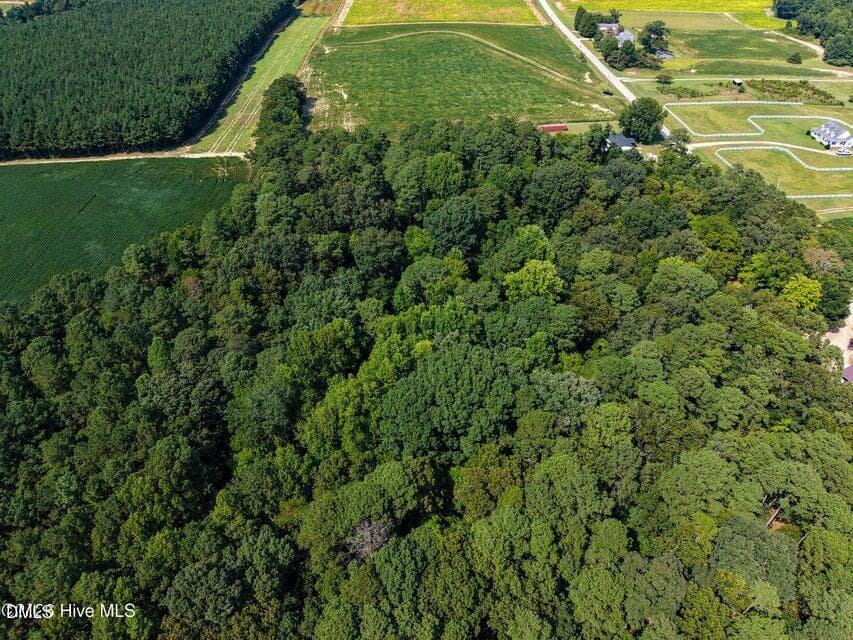 Stott pic11 - 0 Stott Road, Bailey, NC 27807