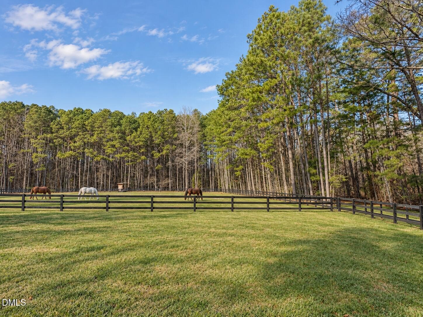 PErfect for horses - 2769 Weaver Hill Drive, Apex, NC 27502